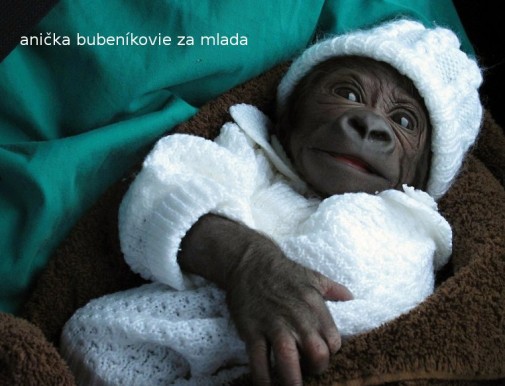 anička bubeníkovie za mlada